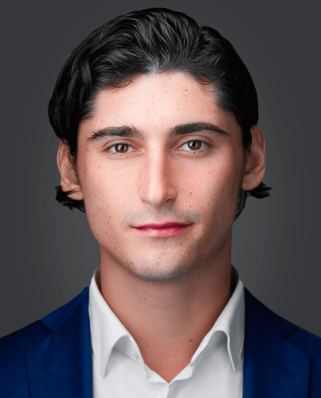 Davis Bebon Analyst, Investments